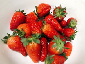 ��ݮ���������豸